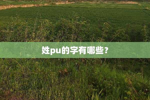姓pu的字有哪些？