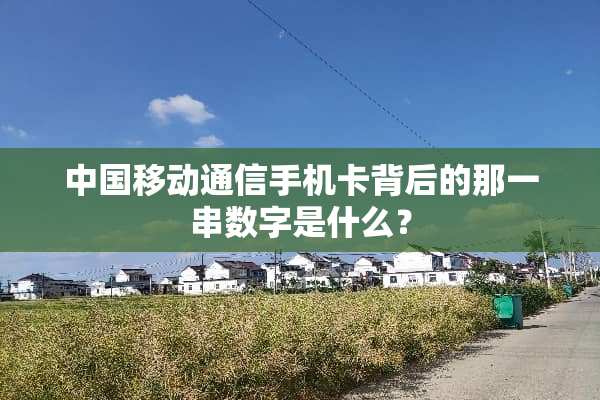 中国移动通信手机卡背后的那一串数字是什么？