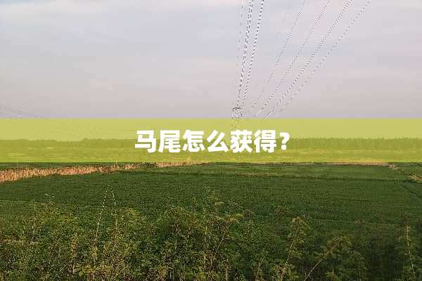 马尾怎么获得？