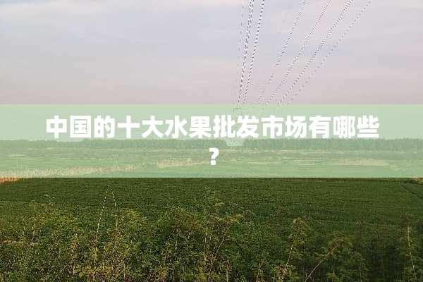 中国的十大水果批发市场有哪些？