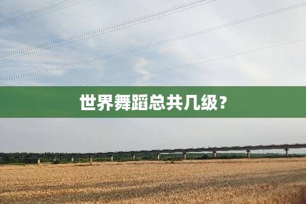 世界舞蹈总共几级？