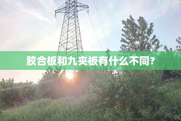 胶合板和九夹板有什么不同？