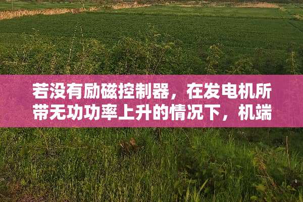 若没有励磁***，在发电机所带无功功率上升的情况下，机端电压会（ ）