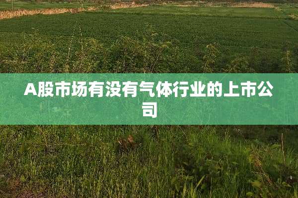 A股市场有没有气体行业的上市公司