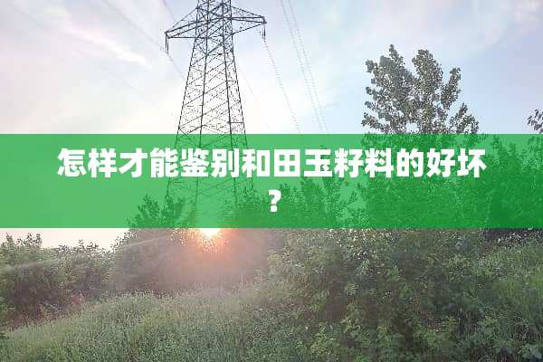 怎样才能鉴别和田玉籽料的好坏？