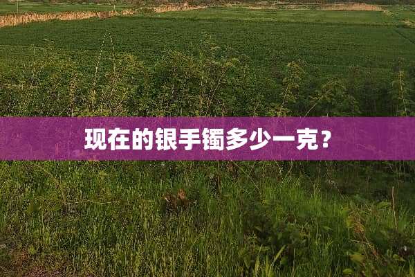 现在的银手镯多少一克？
