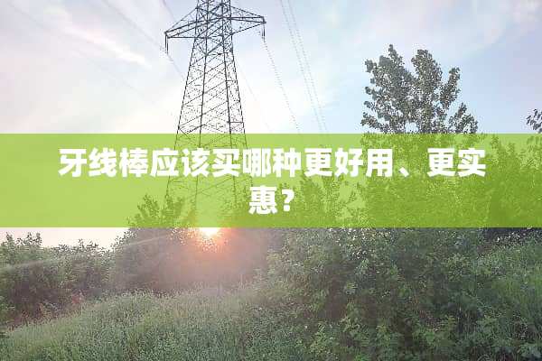 牙线棒应该买哪种更好用、更实惠？