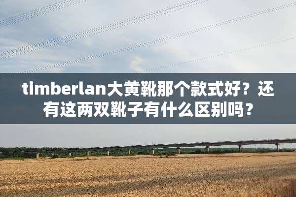 timberlan大黄靴那个款式好？还有这两双靴子有什么区别吗？