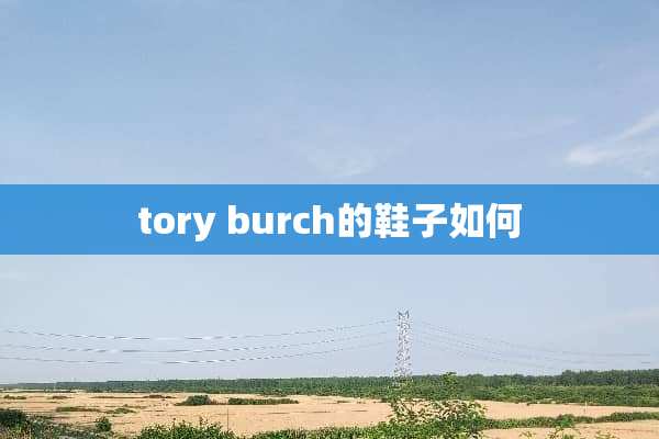 tory burch的鞋子如何