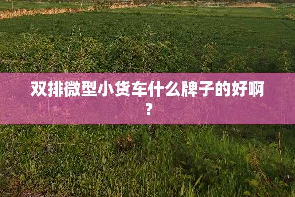双排微型小货车什么牌子的好啊？