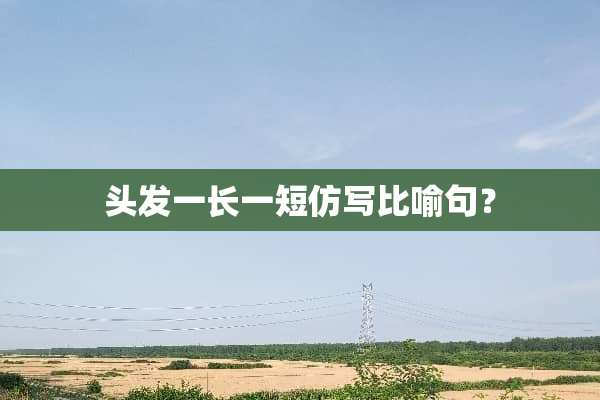 头发一长一短仿写比喻句？