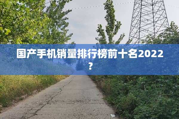 国产手机销量排行榜前十名2022？