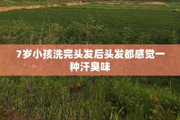 7岁小孩洗完头发后头发都感觉一种汗臭味