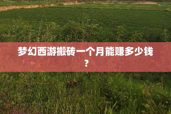 梦幻西游搬砖一个月能赚多少钱？
