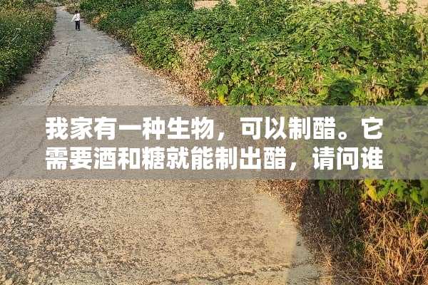我家有一种生物，可以制醋。它需要酒和糖就能制出醋，请问谁知道他是什么？