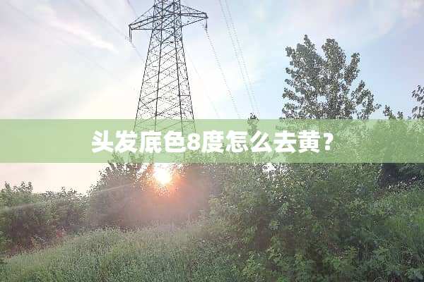 头发底色8度怎么去黄？