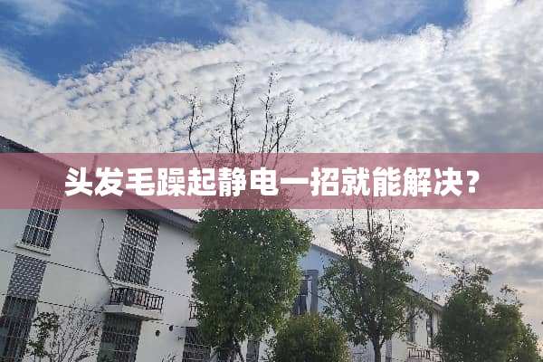 头发毛躁起静电一招就能解决？