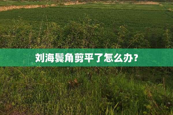刘海鬓角剪平了怎么办？