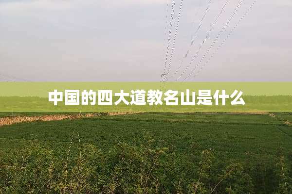中国的四大道教名山是什么