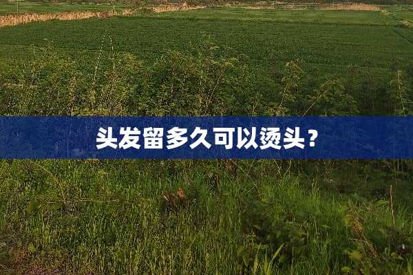 头发留多久可以烫头？