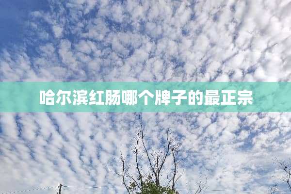 哈尔滨红肠哪个牌子的最正宗