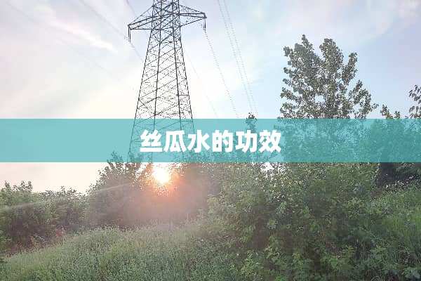 丝瓜水的功效