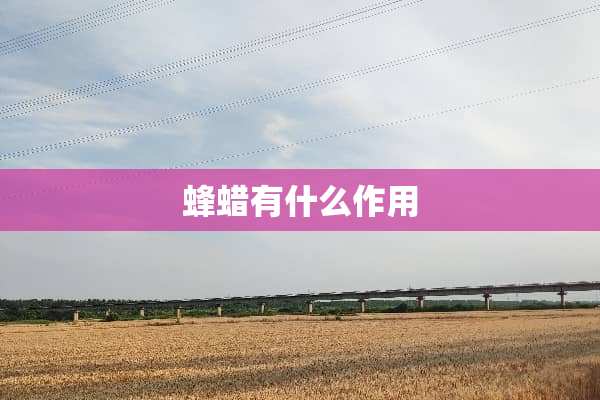 蜂蜡有什么作用