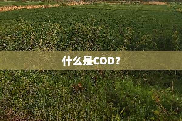 什么是COD？