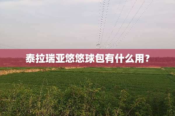 泰拉瑞亚悠悠球包有什么用？