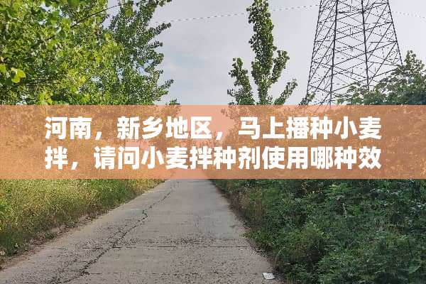 河南，新乡地区，马上播种小麦拌，请问小麦拌种剂使用哪种效果好？