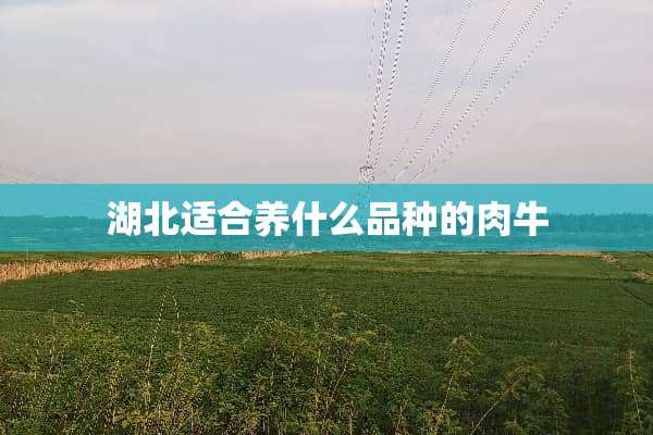 湖北适合养什么品种的**