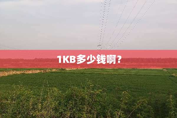 1KB多少钱啊？