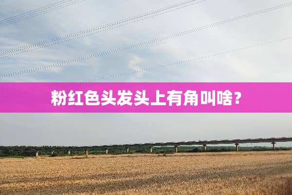粉红色头发头上有角叫啥？