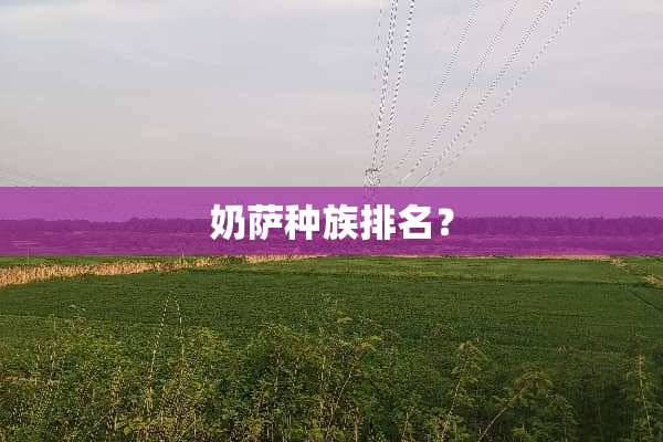 奶萨种族排名？