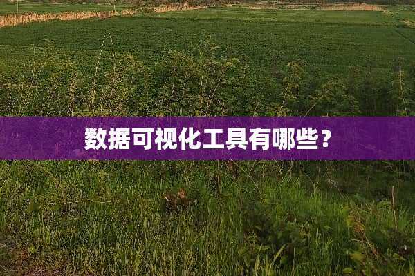 数据可视化工具有哪些？