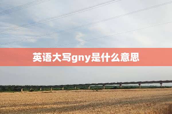 英语大写gny是什么意思