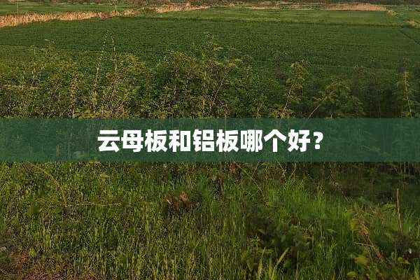 云母板和铝板哪个好？