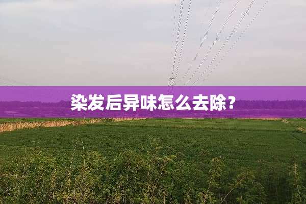 染发后异味怎么去除？