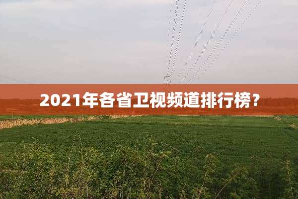 2021年各省卫视频道排行榜？
