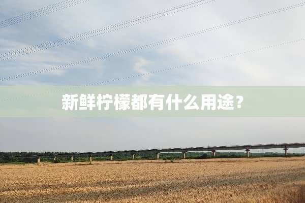 新鲜柠檬都有什么用途？