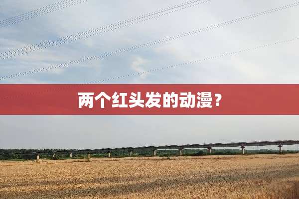 两个红头发的动漫？