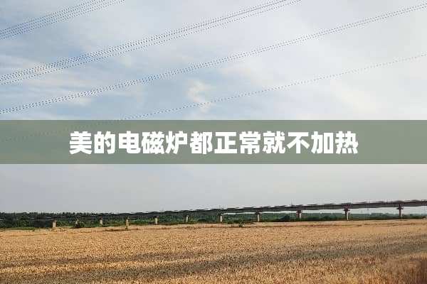 美的电磁炉都正常就不加热