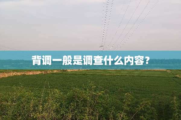 背调一般是调查什么内容？