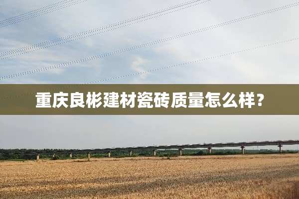重庆良彬建材瓷砖质量怎么样？