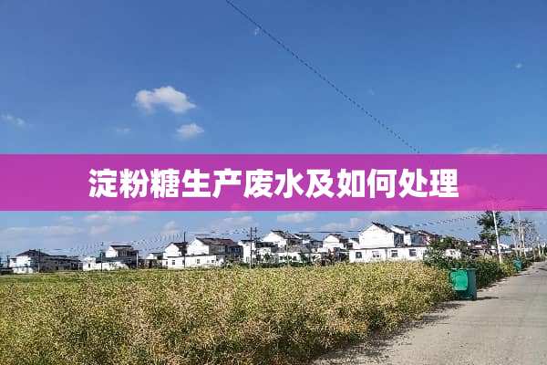 淀粉糖生产废水及如何处理