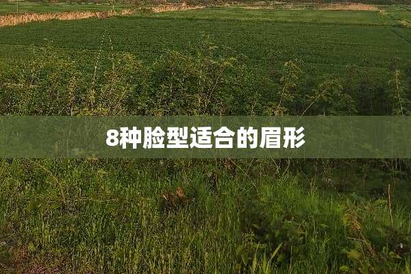 8种脸型适合的眉形