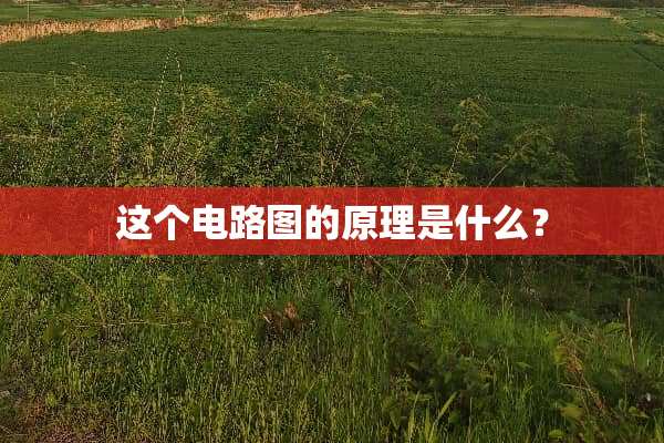 这个电路图的原理是什么？
