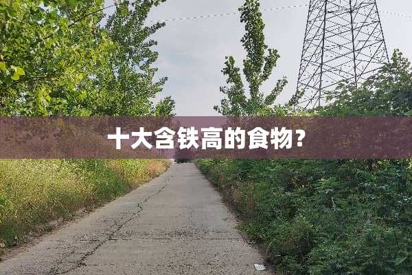 十大含铁高的食物？
