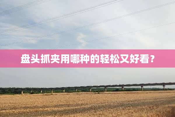 盘头抓夹用哪种的轻松又好看？