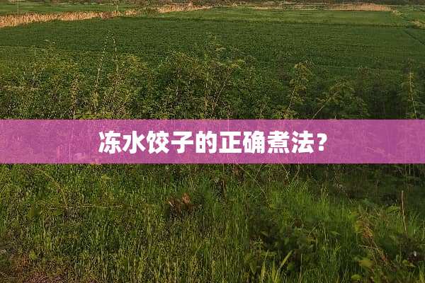 冻水饺子的正确煮法？